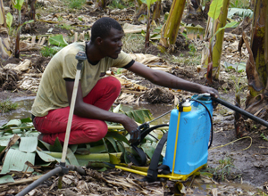 Chemical Application worker, Cameroon, Central Africa